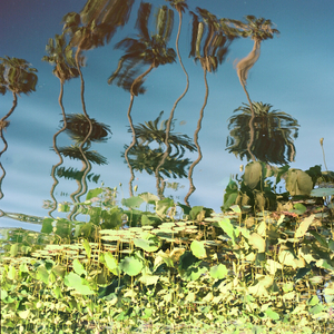 李李妮调教视频vK
